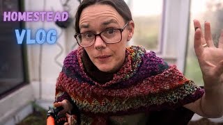 Cowboy Candy, Sourdough, Sheep & Chickens | Hamakua Homestead | VLOG