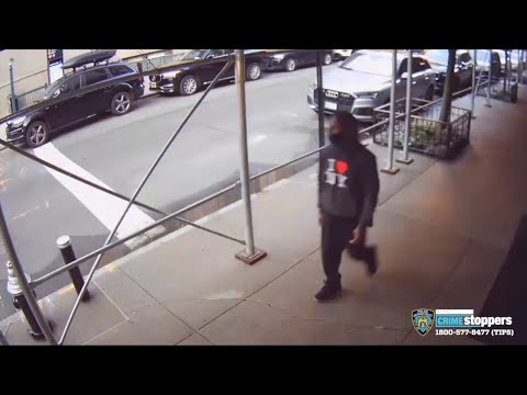 NYC Actor Rick Moranis Sucker Punched