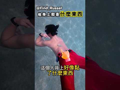 如果在水中遇到牠，一定要離遠一點