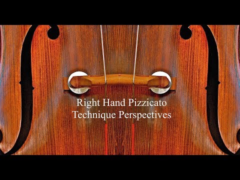 Right Hand Pizzicato Technique Perspectives