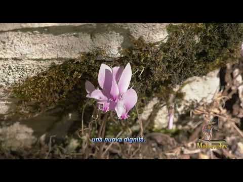 Un piccolo grido di gioia