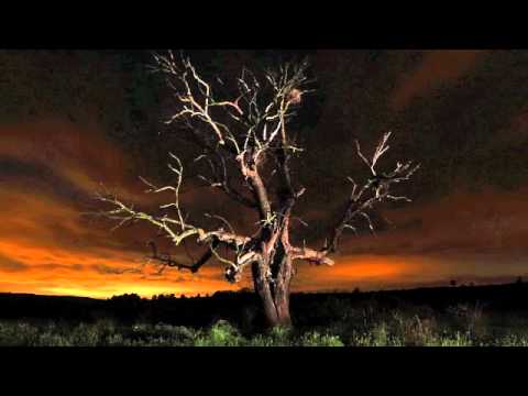 JULIO Y FER - WOODY ALLEN