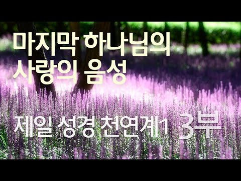 제일 성경 천연계1 3부