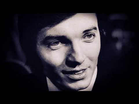 Karel Gott - Kdyby nepadal déšť (Je n'aurai pas le temps/If I Only Had Time) 1968 [Remastered]