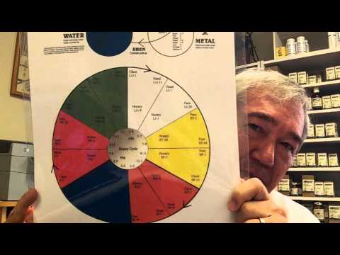 The 5 Element Theory