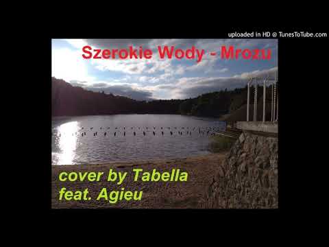 Mrozu - Szerokie Wody (cover by Tabella feat. Agieu)