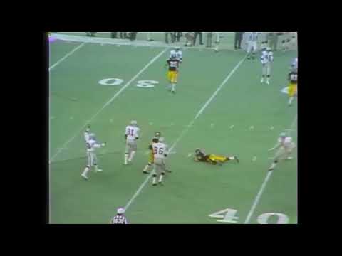 The Immaculate Reception - Jack Fleming