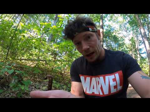 Red Berries pt.1- Partridge Berries