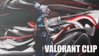 CHIPPI VALORANT CLIPS Ver.2