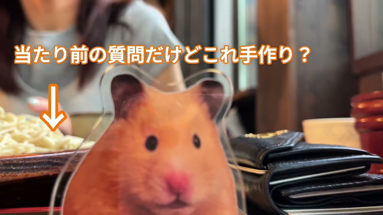 【飼い主大嫌い系ハムスター/とんとん】ある日の休日