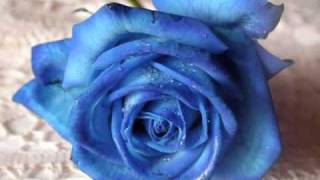 volvamos a empezar  bryndis 40 canciones romanticas 2/4