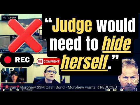 Barry Morphew’s lawyer shows judge 12 UNREDACTED live-stream comments. She BANS public Webex hearing