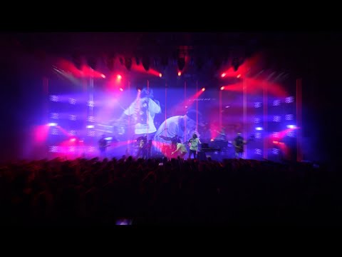 הדג נחש - קוסאמאמק (הופעה חיה בהאנגר 11)