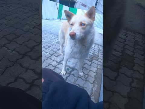 Die Welt ist Traurig! 💔 #bike #bekind