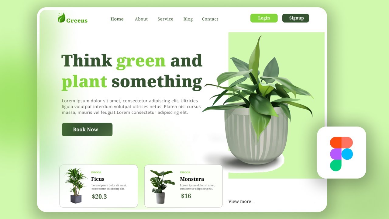 Plant delivery hero section | Web design | Figma | Beginners