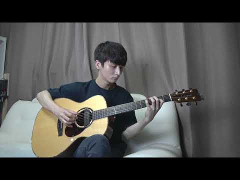 (Avicii) Wake Me Up - Sungha Jung