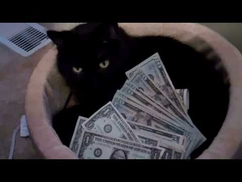 RENEGADE FOXXX WAY DOWN