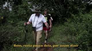 Rei da Noruega visita aldeia yanomami