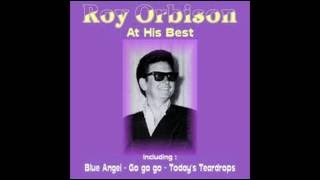 Roy Orbison   Yo Te Amo Maria