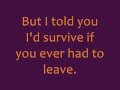 Crazy From The Heart - The Bellamy Brothers (Lyrics)