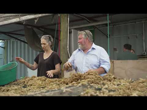 Magic Moss | North Canterbury Youth Futures