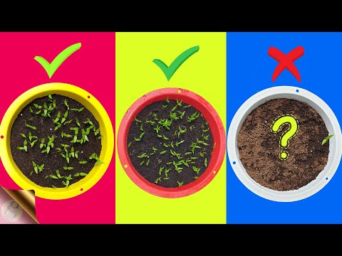 YouTube video about Discover the Best Spots to Plant Your Seeds