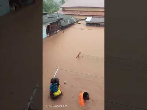 Residents swim through submerged street and homes in Mallam, as floodwaters rise.🎥 Veronica Zomerlo