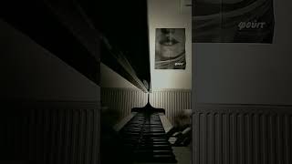 Branches Break - GoGo Penguin (piano cover) #gogopenguin #branchesbreak #tutorial #pianocover #piano