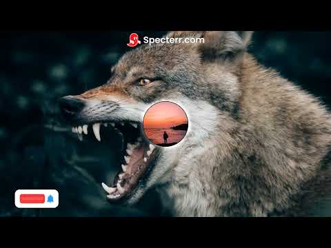 low battle mix sound check x troll raket remix