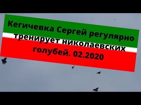 Кегичевка Сергей регулярно тренирует николаевских голубей. 02.2020