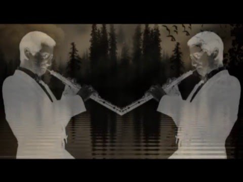 Marcello : Adagio from oboe concerto in D - Holliger / I Musici