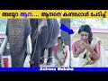 അയ്യോ ആന ആനനെ കണ്ടപ്പോൾ പേടിച്ച് Actress Mok