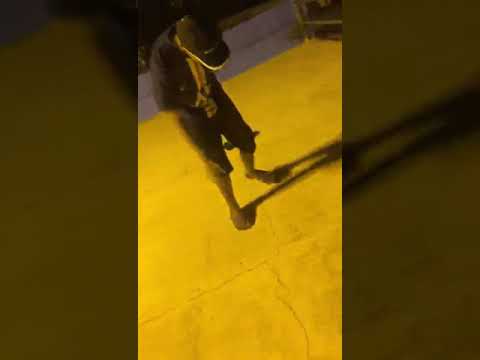 Passinho do magrão (2020) part 2