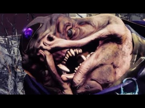 Calus legendary cheese