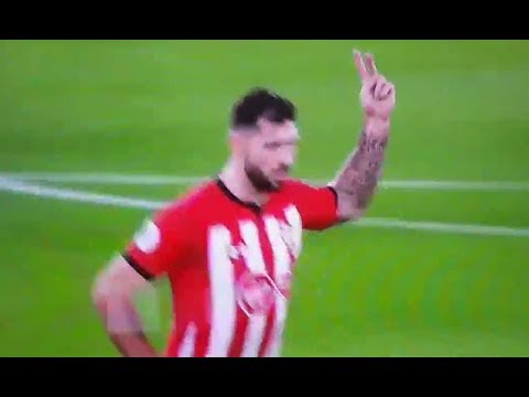 Southampton striker Charlie Austin hit with two match ban for 'offensive gesture' in Man City