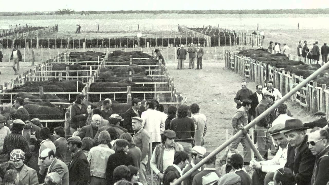 Vídeo de la empresa COLOMBO Y MAGLIANO SA