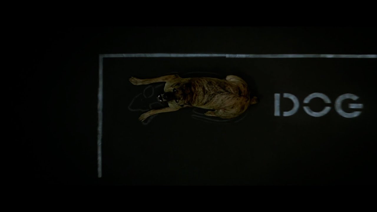 Dogville 2003