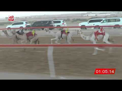  ش 1 (الشاهينية) لـ  سلطان حمد بن حضيرم الكتبي 2:14 , شارة الصندوق 2026/06/07 فطامين الجبيب  