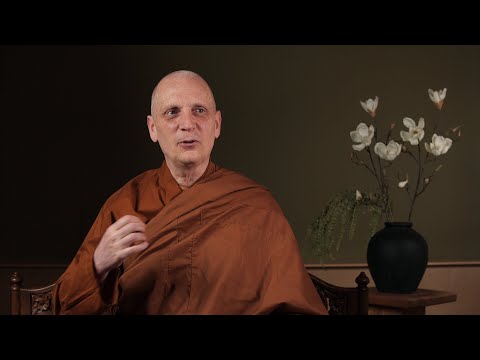 Virtual Metta Retreat (1): What Is This Thing Called Loving-Kindness?