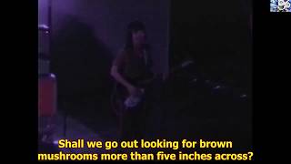 Shonen Knife - Brown Mushroom (live 1993 subtitulado en ingles/lyrics)