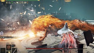 ELDEN RING 8周目 ラダゴンの赤狼 ノーダメ 猟犬のステップ Red Wolf of Radagon No Damage NG+7