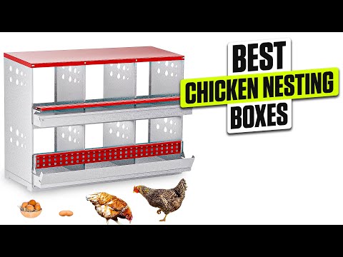 3 BEST Chicken Nesting Boxes