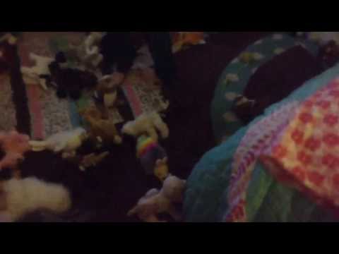 BUNNY DANCES TO....Double Rainboom Syndrome (feat. MarshmallowFox)