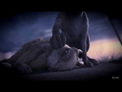 Watership Down - Battlefield