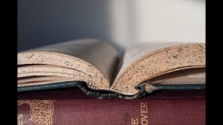 L'UNIVERS DE BRESLEV