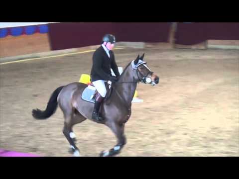 Monte Bellini-Askari mare * 2011 for sale