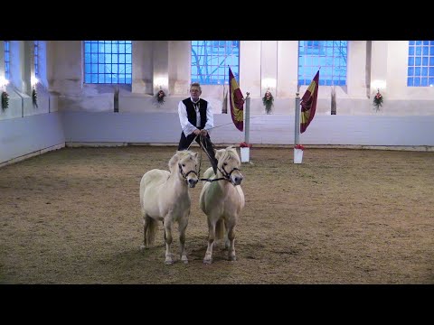 2025 - Ausschnitte aus dem Weihnachtsreiten des Reitinstituts der Egon v. Neindorff-Stiftung