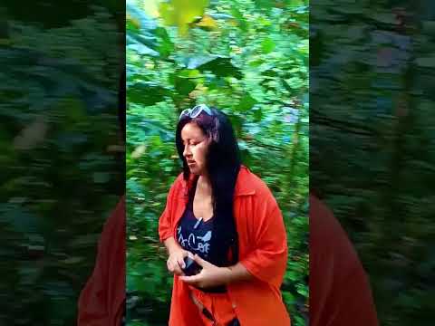 Cascada Hola Vida #Pastaza 💚💛🇪🇨 #turismopuyo #pomona #amazonia_ecuador #cascadaholavida 