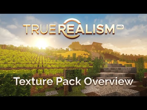 Mind-Blowing Realism in Minecraft! HD Texture Pack Review