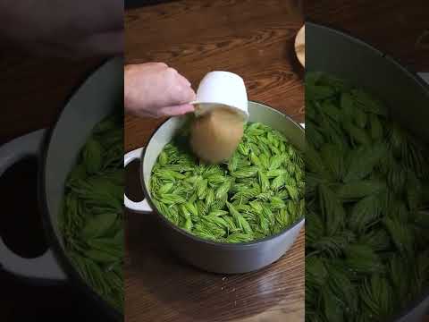 How to make spruce beer*